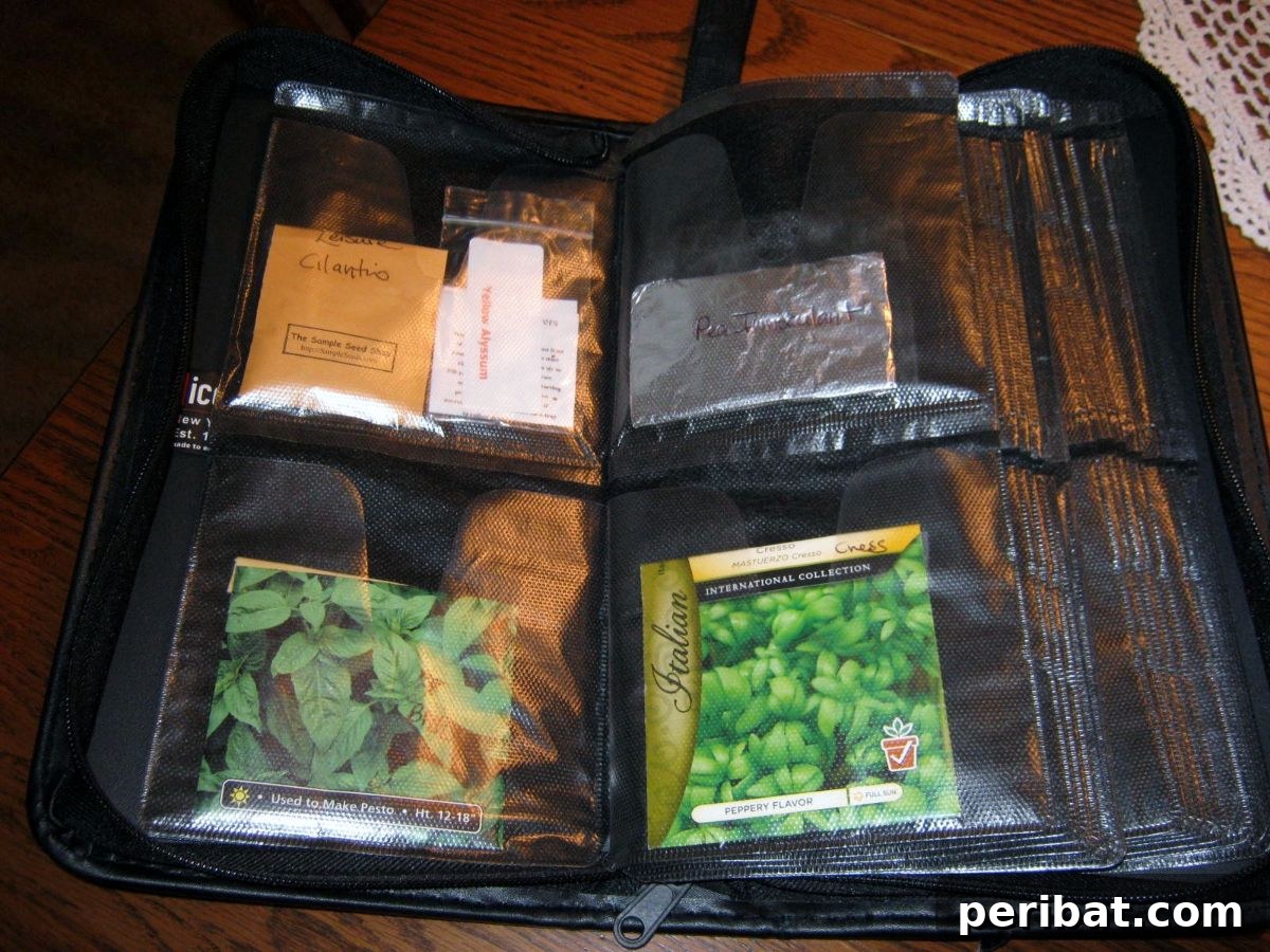 CD Case as seed storage.