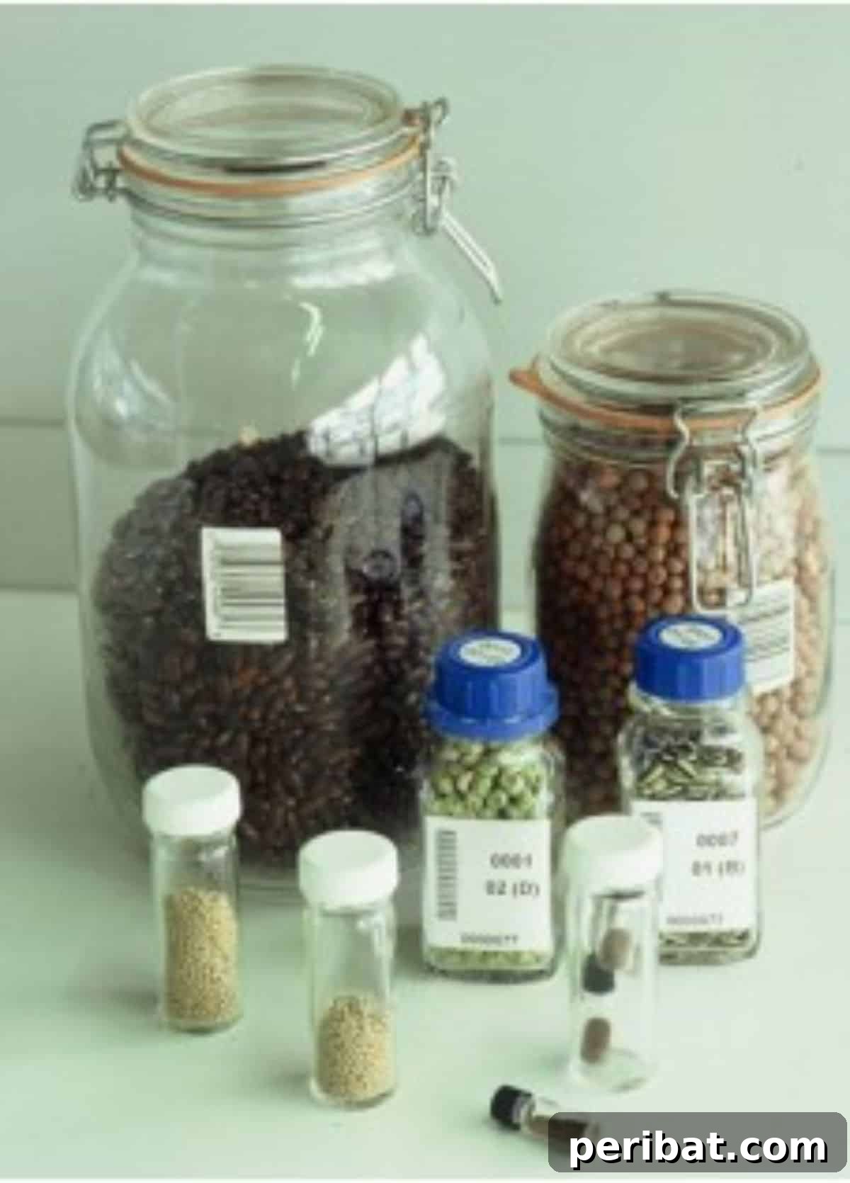 Glass Jars seed storage.