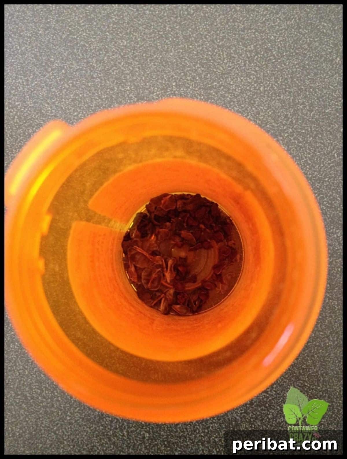 Pill Bottles
