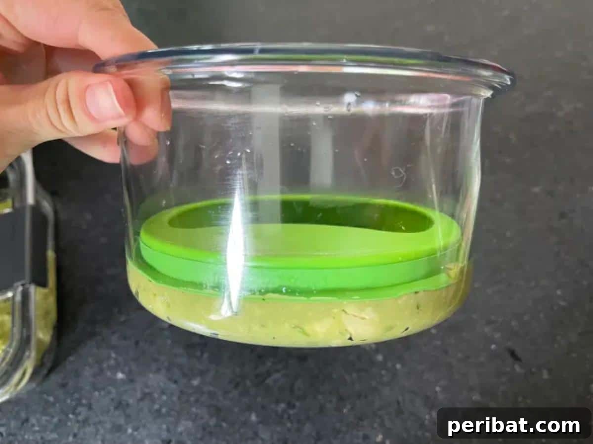 43 Clever Snack Storage Ideas: DIY & Ready-Made Solutions 15 Airtight Guacamole Keeper to Prevent Browning
