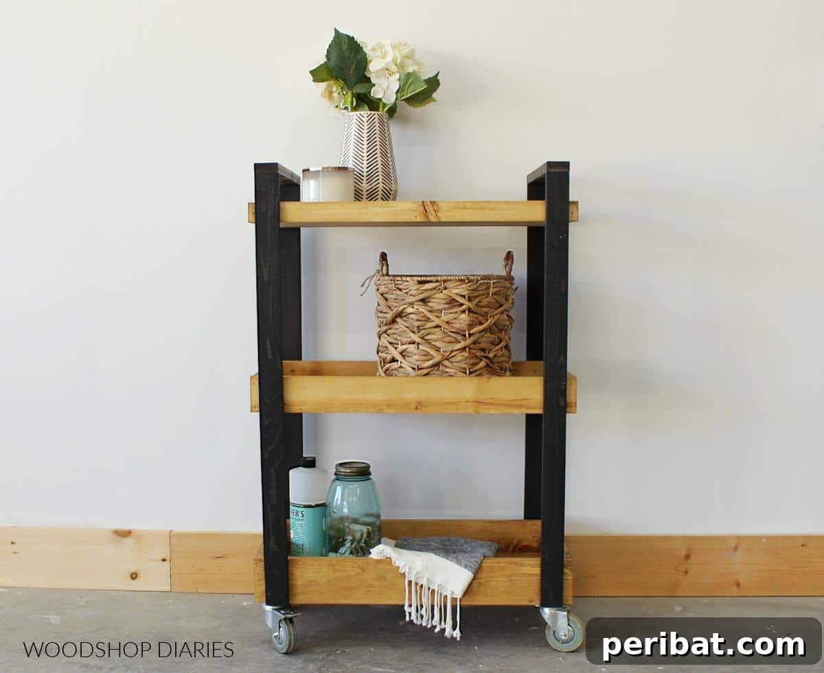 43 Clever Snack Storage Ideas: DIY & Ready-Made Solutions 18 Versatile Rolling Cart for Mobile Snack Storage