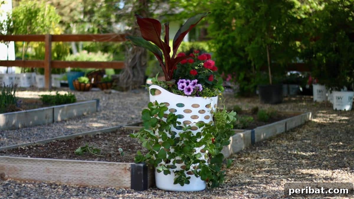50 Plant Display Ideas: DIY Projects and Product Picks 14 Innovative strawberry planter made from an old laundry basket