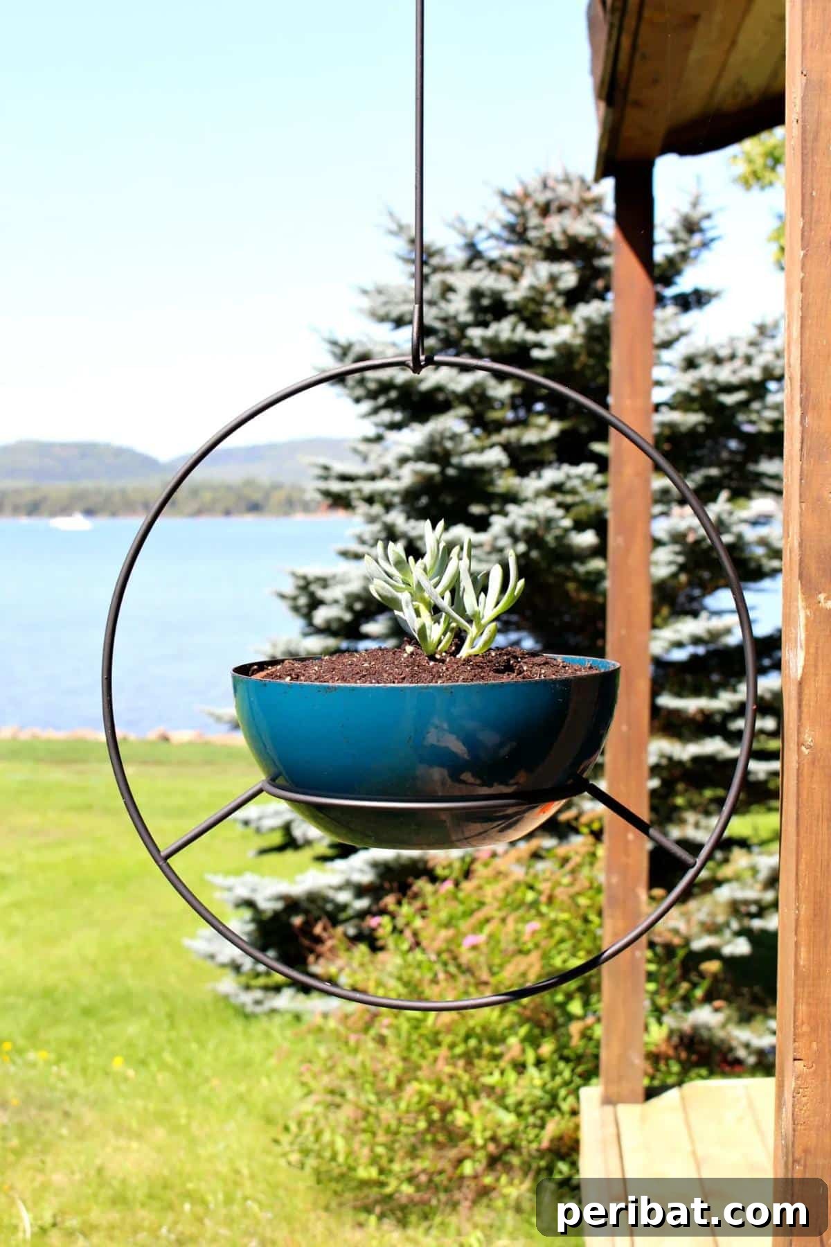50 Plant Display Ideas: DIY Projects and Product Picks 16 Stylish hanging hoop planter adding visual appeal to a space