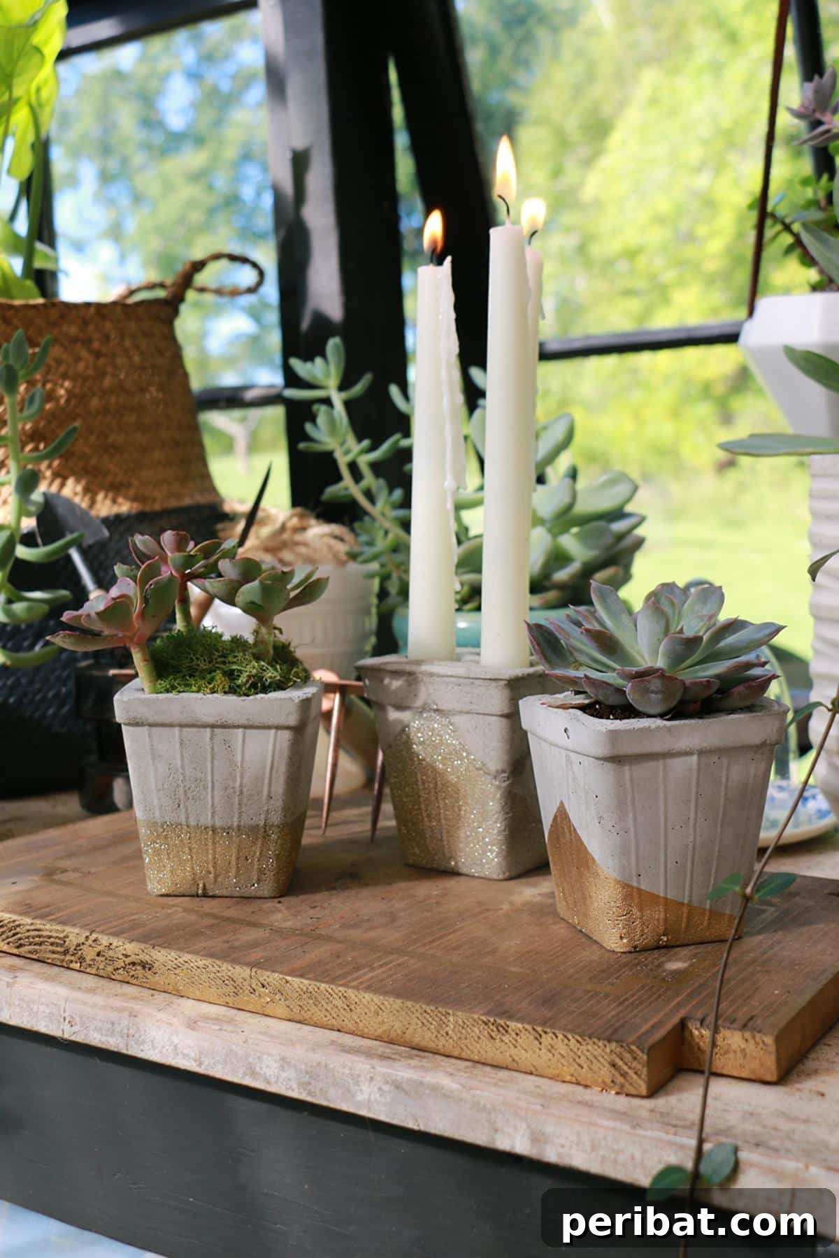 50 Plant Display Ideas: DIY Projects and Product Picks 18 Minimalist homemade concrete planters with various plant arrangements