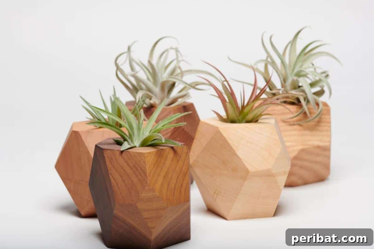 50 Plant Display Ideas: DIY Projects and Product Picks 32 Set of modern geometric plant holders for air plants or small succulents