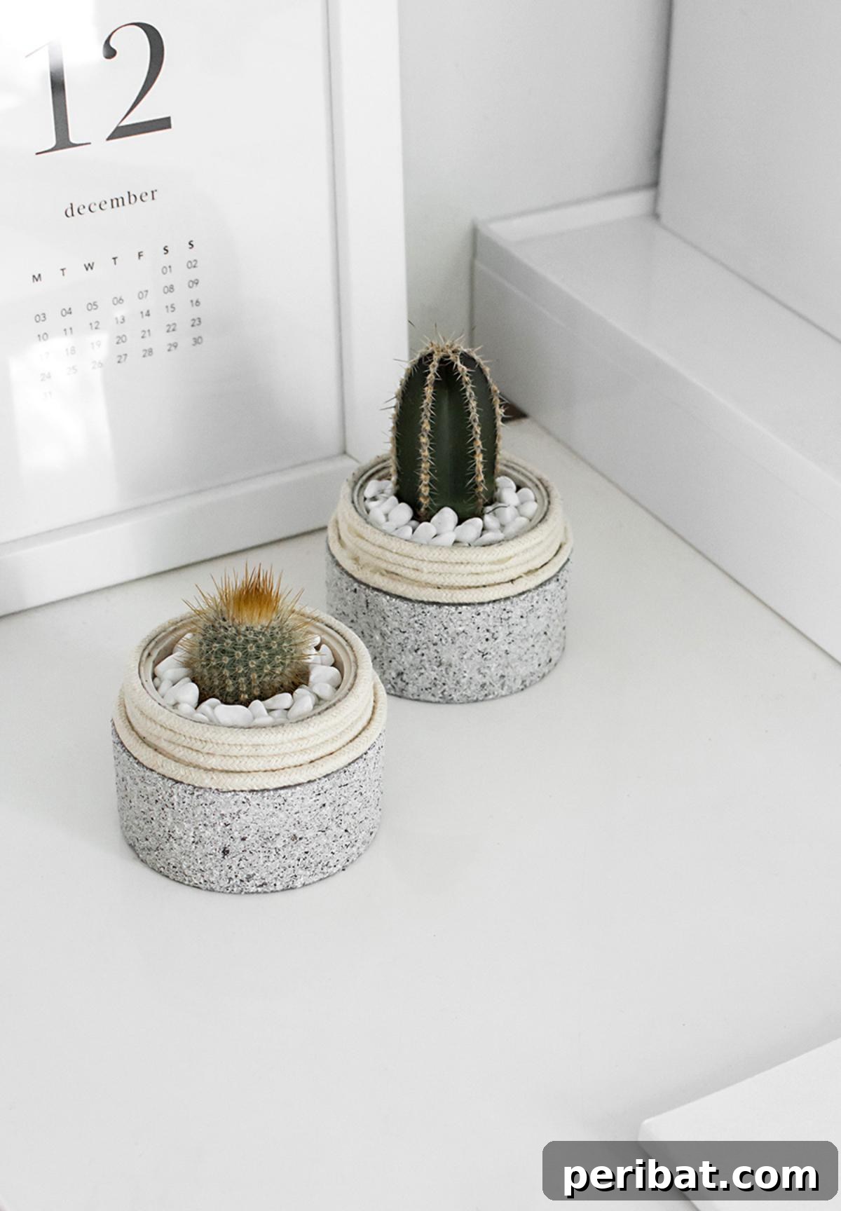 50 Plant Display Ideas: DIY Projects and Product Picks 34 Tiny and adorable mini cactus planters made from upcycled containers