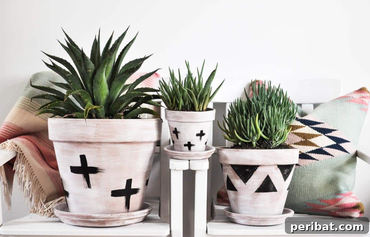 50 Plant Display Ideas: DIY Projects and Product Picks 41 Modern whitewashed terra cotta planters with a distressed look