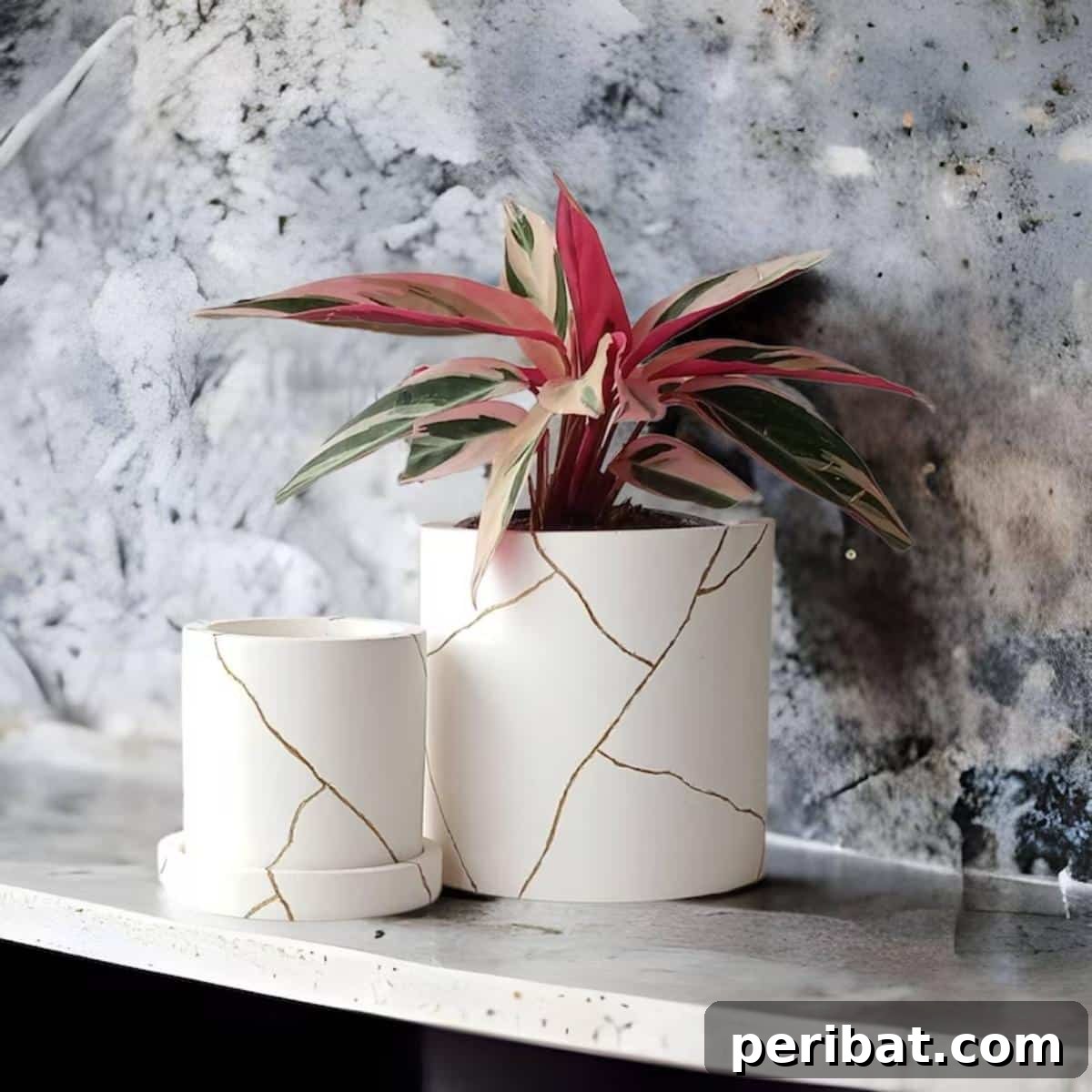 50 Plant Display Ideas: DIY Projects and Product Picks 47 Elegant Kintsugi-style planter with golden repair lines