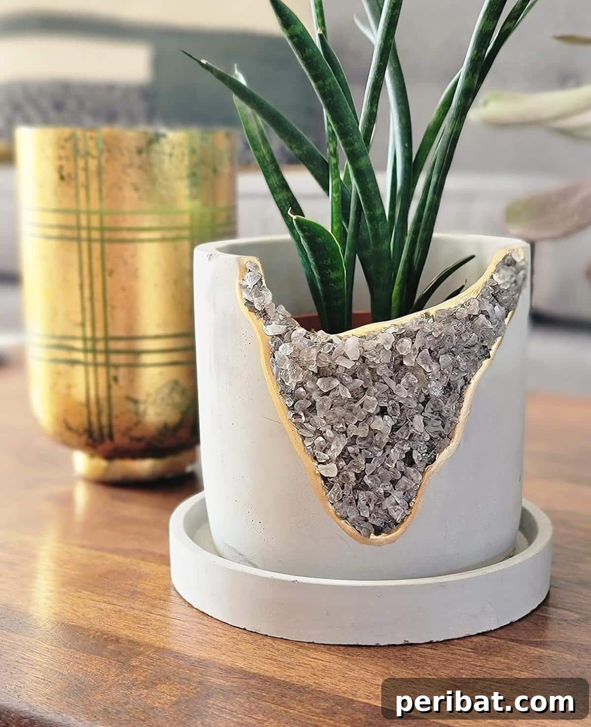 50 Plant Display Ideas: DIY Projects and Product Picks 50 Elegant crystal cement pot with embedded clear stones