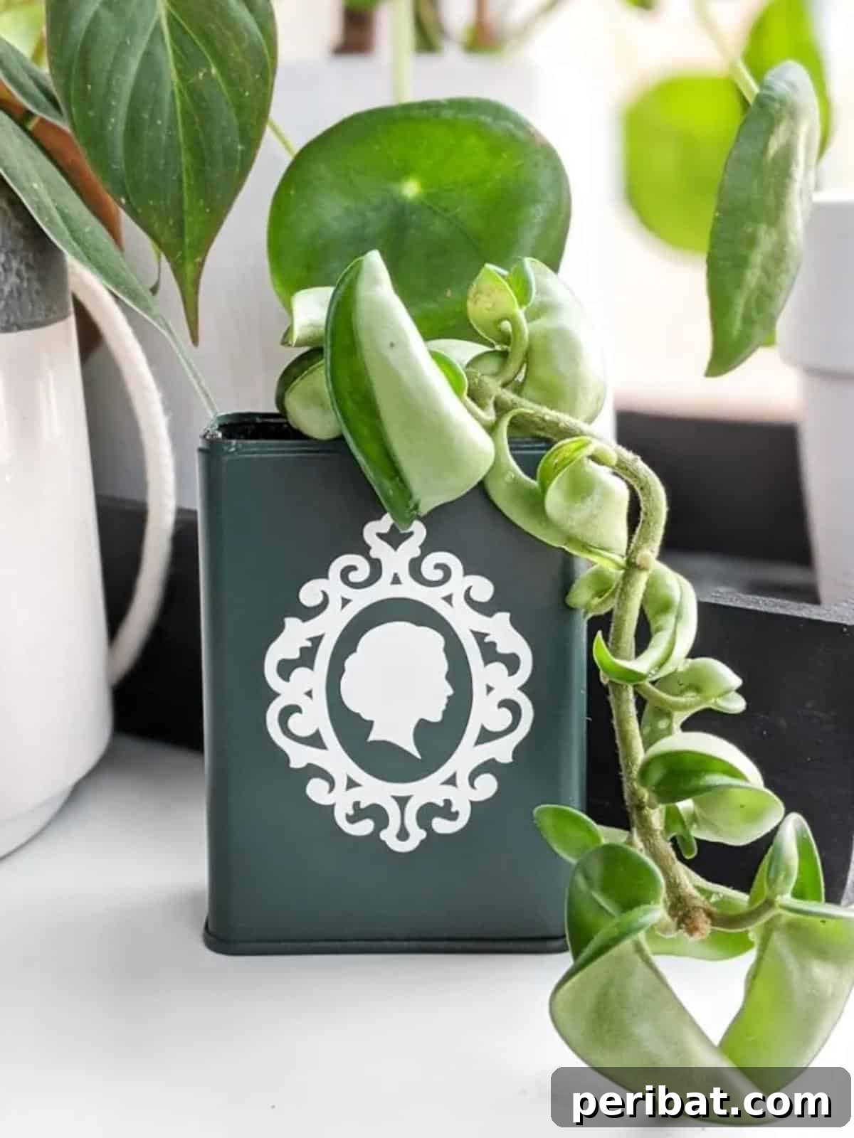 50 Plant Display Ideas: DIY Projects and Product Picks 6 DIY elegant green planter crafted from upcycled food cans