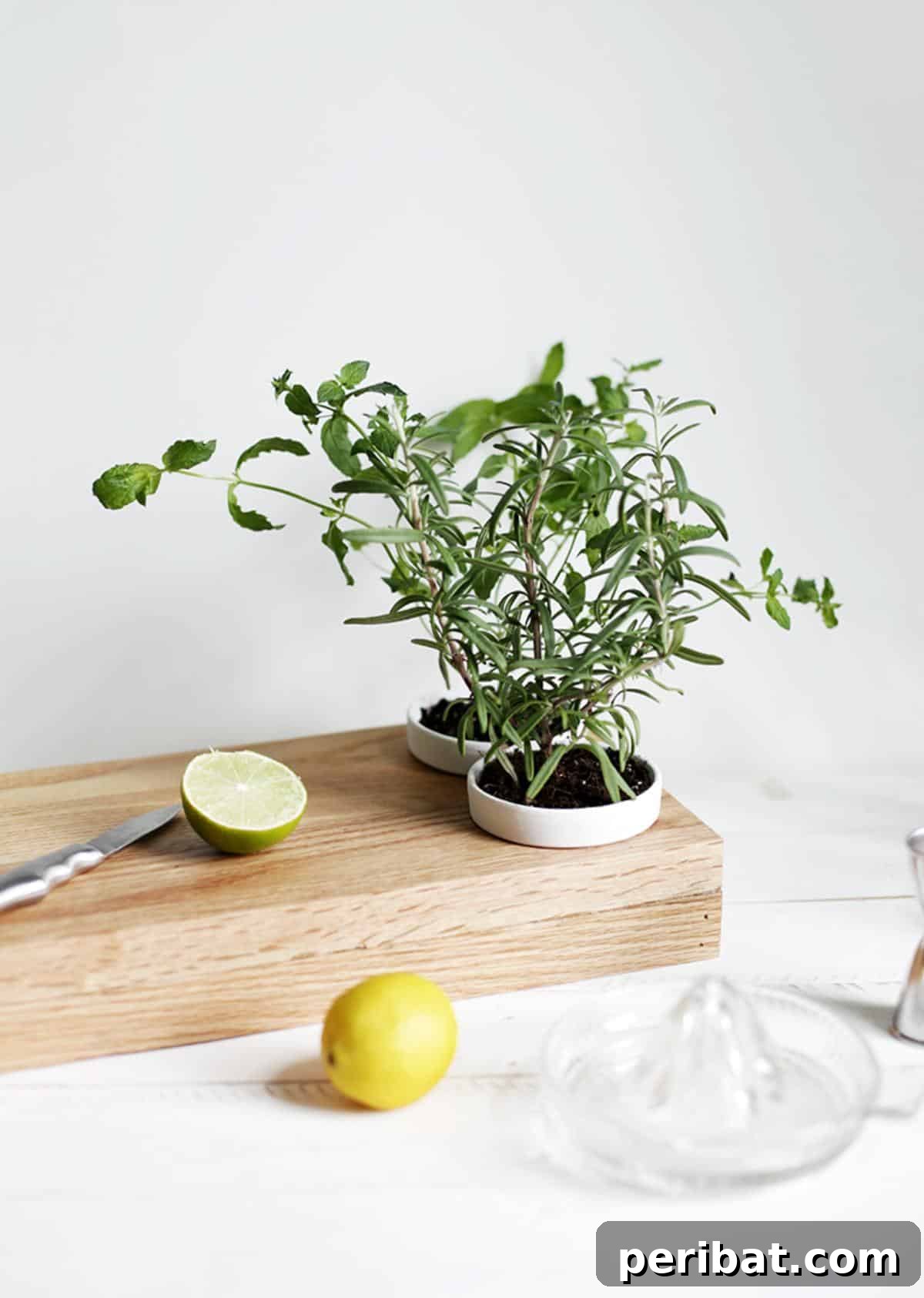 50 Plant Display Ideas: DIY Projects and Product Picks 52 Innovative cutting board planter with integrated herb pots