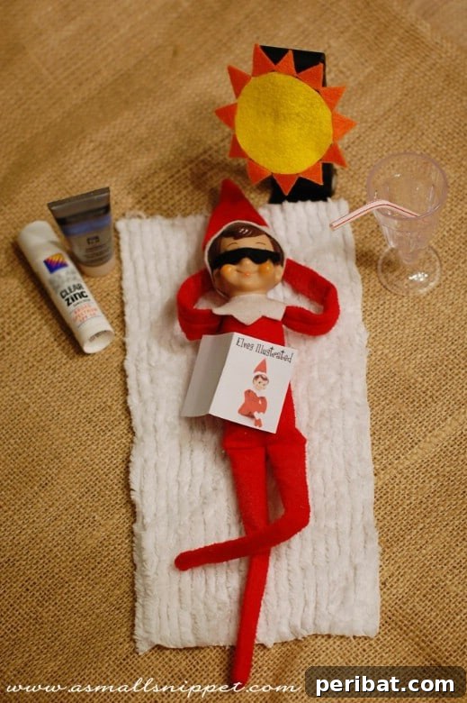 60 Whimsical Elf on the Shelf Display Ideas 16 Sunny Vacation