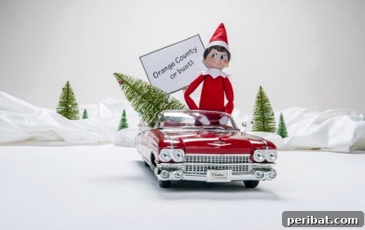 60 Whimsical Elf on the Shelf Display Ideas 51 Elf Has Left the Building