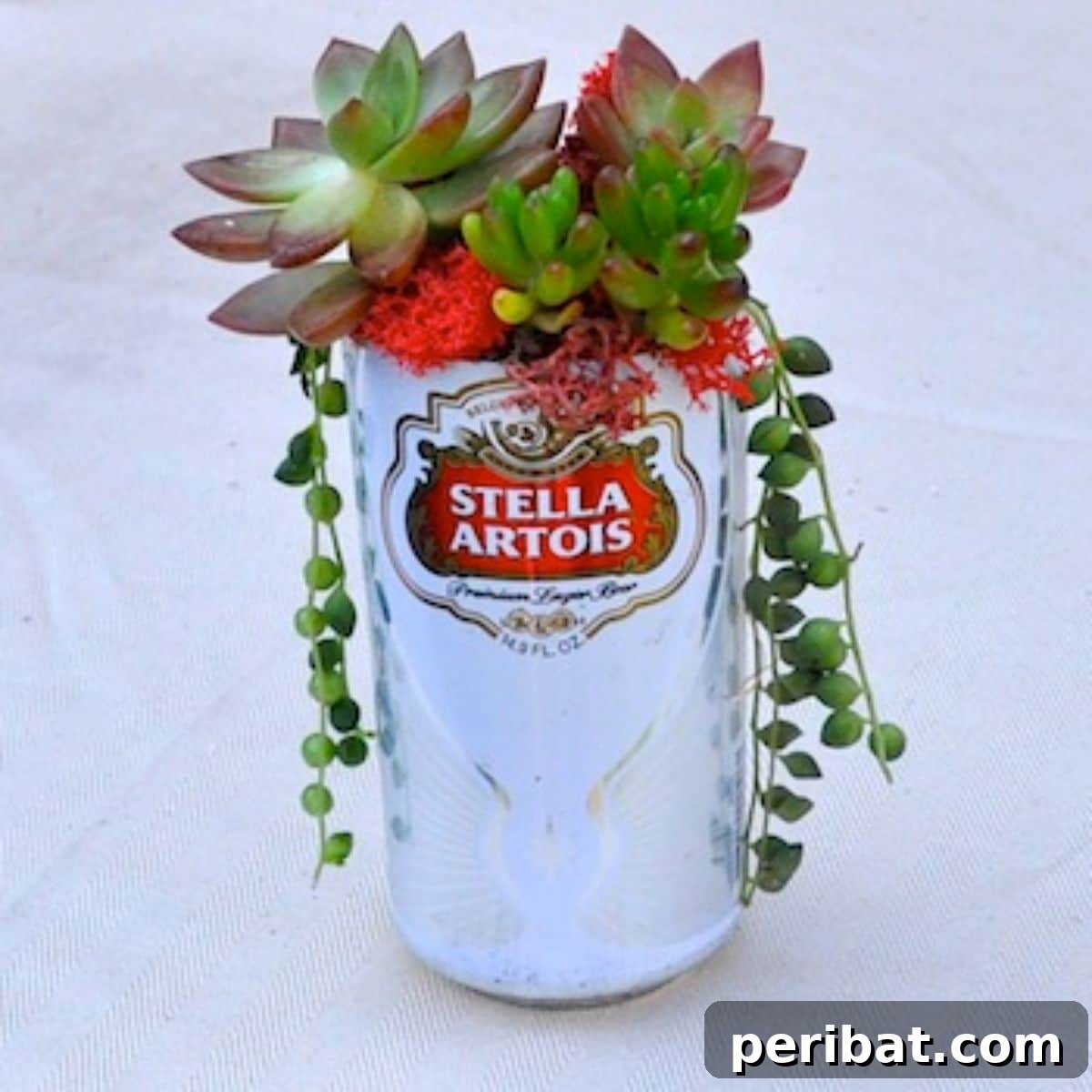 DIY Beer Can Succulent Centerpiece