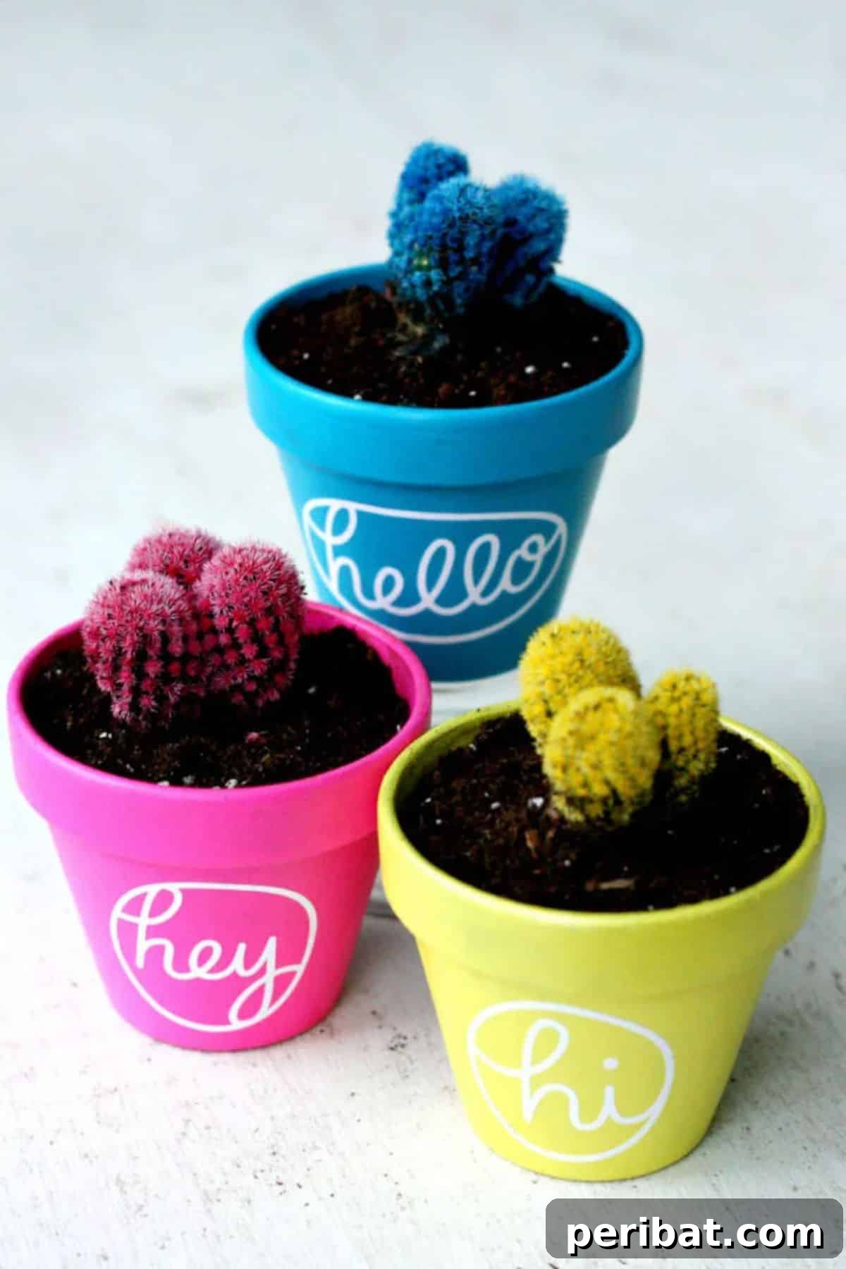 Cactus Pot Painting for Colorful Home Decor