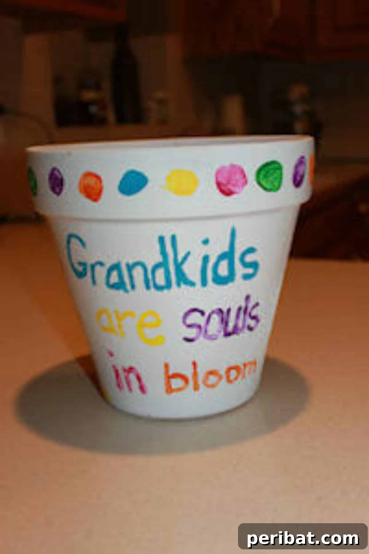 Heartfelt Handmade Gifts for Grandparents 16 Hand-Painted Flower Pots