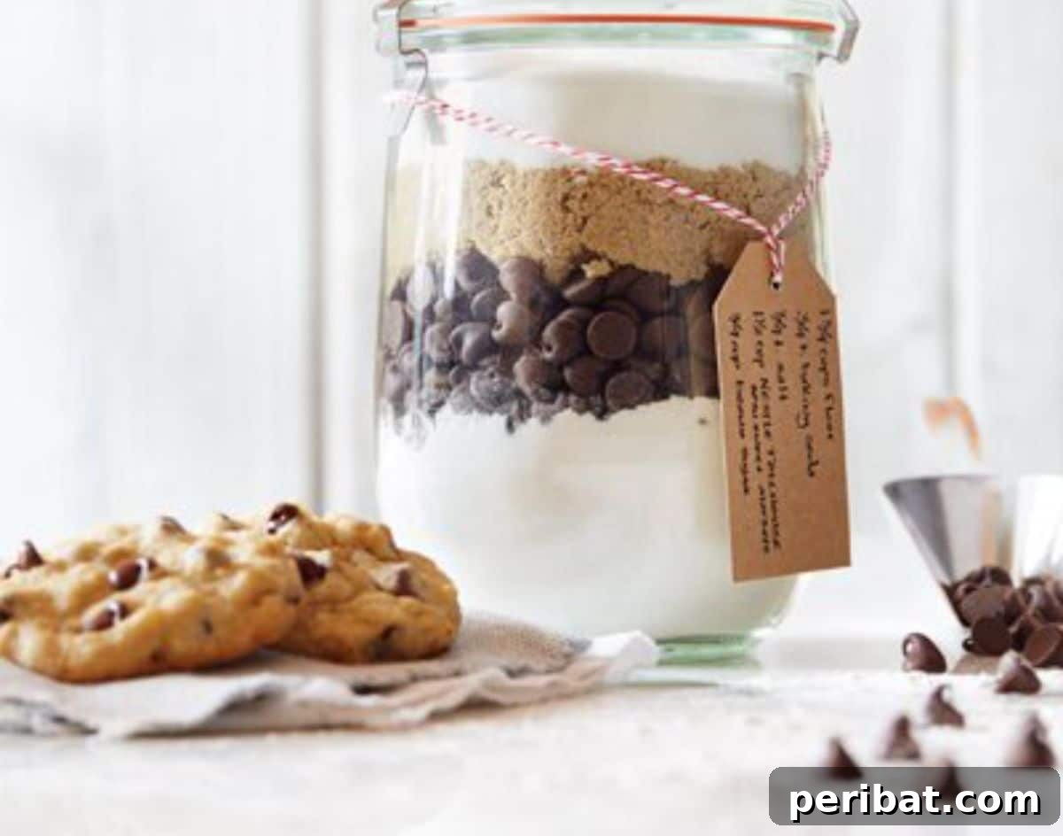 28 Creative DIY Baking Kit Ideas 23 DIY Chocolate Chip Cookie Mix In A Jar