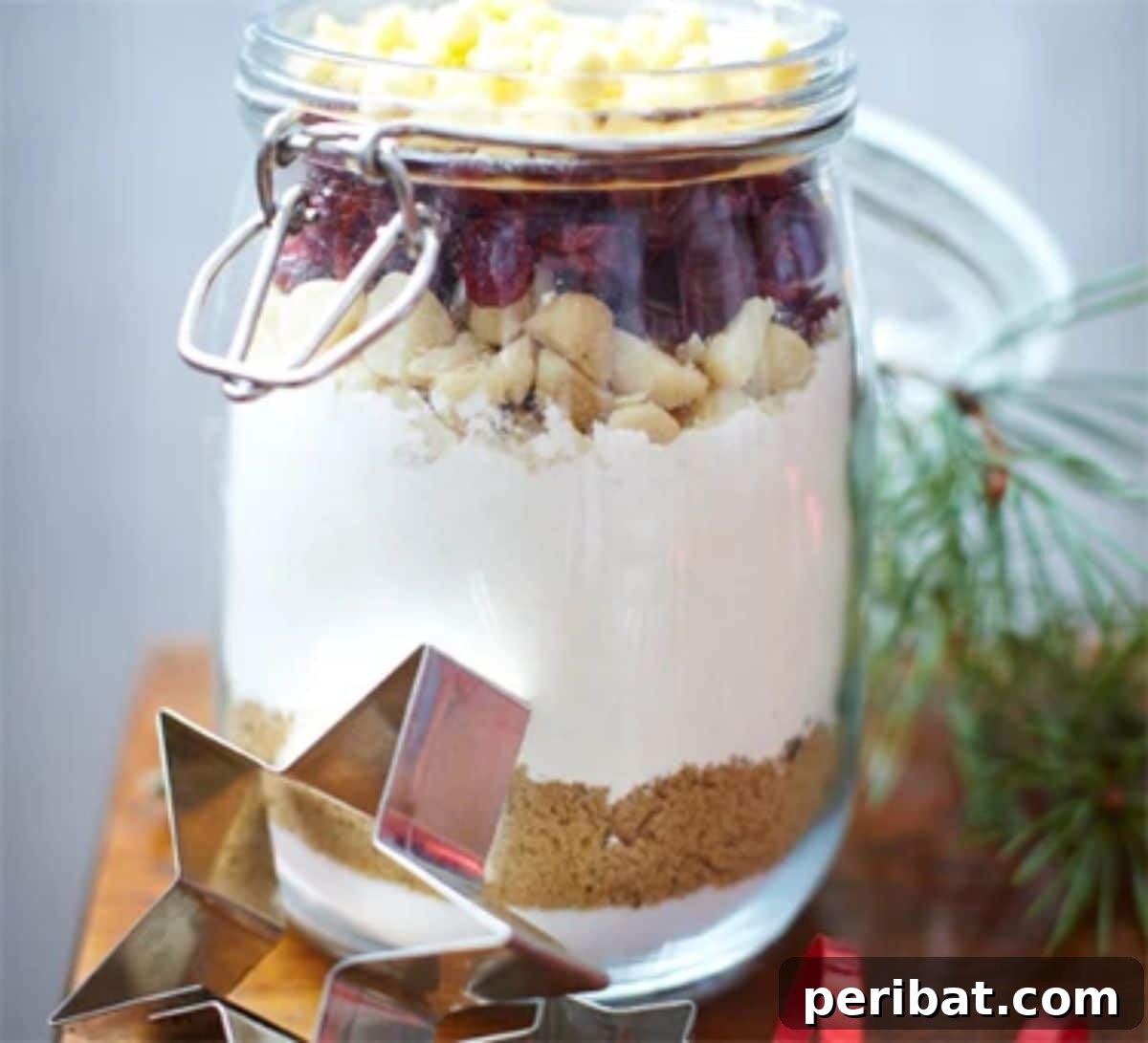 28 Creative DIY Baking Kit Ideas 6 DIY Chewy Cranberry Choc-nut Cookie Kit