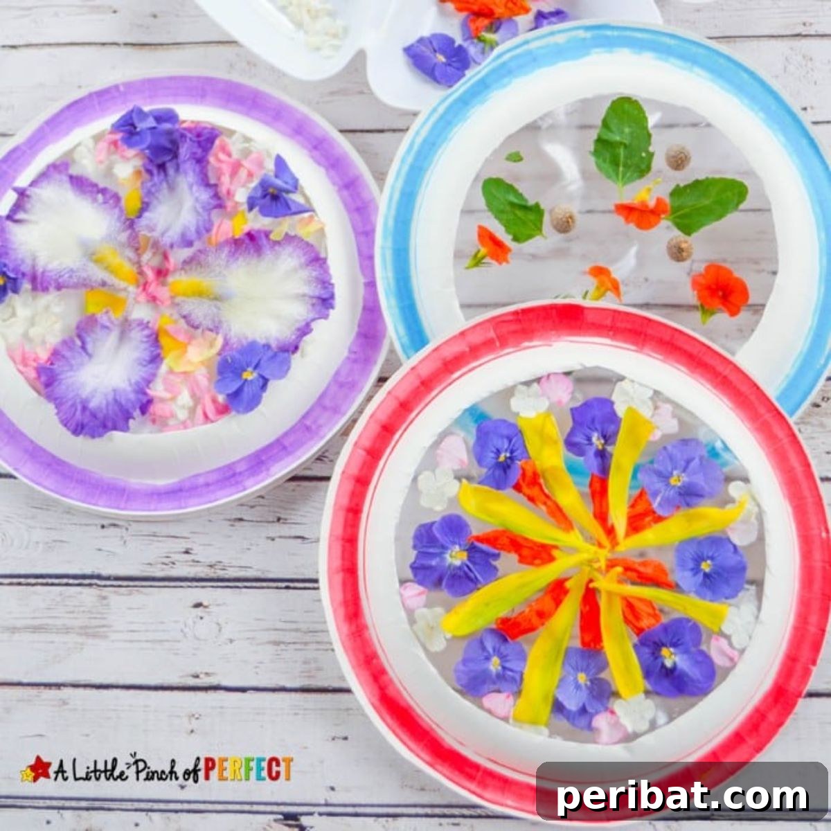 Catch the Light: 50 Unique Sun Catcher Crafts 34 DIY Flower Mandala Suncatchers