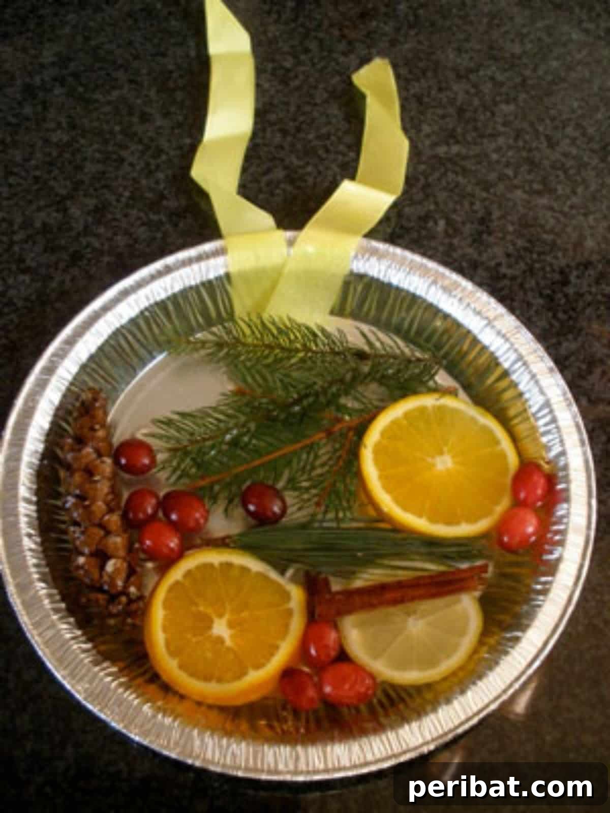 Catch the Light: 50 Unique Sun Catcher Crafts 48 DIY Winter Ice Suncatcher