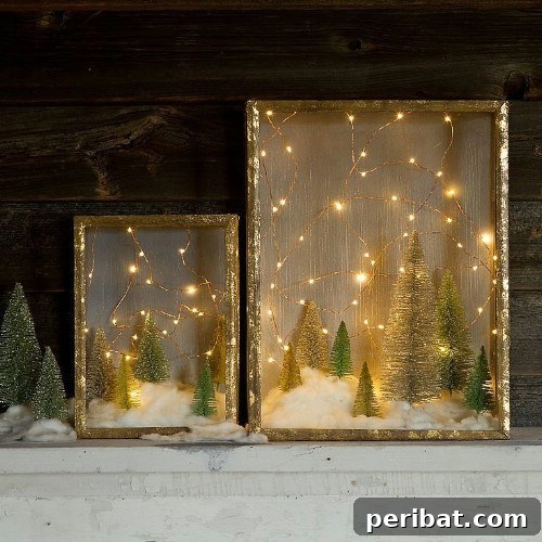 23-shadow-box