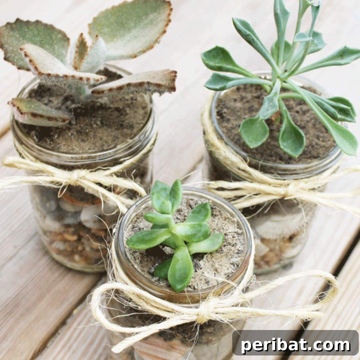 Handmade Hugs: 34 Practical DIY Gifts for Your Sister 16 DIY Mason Jar Succulents