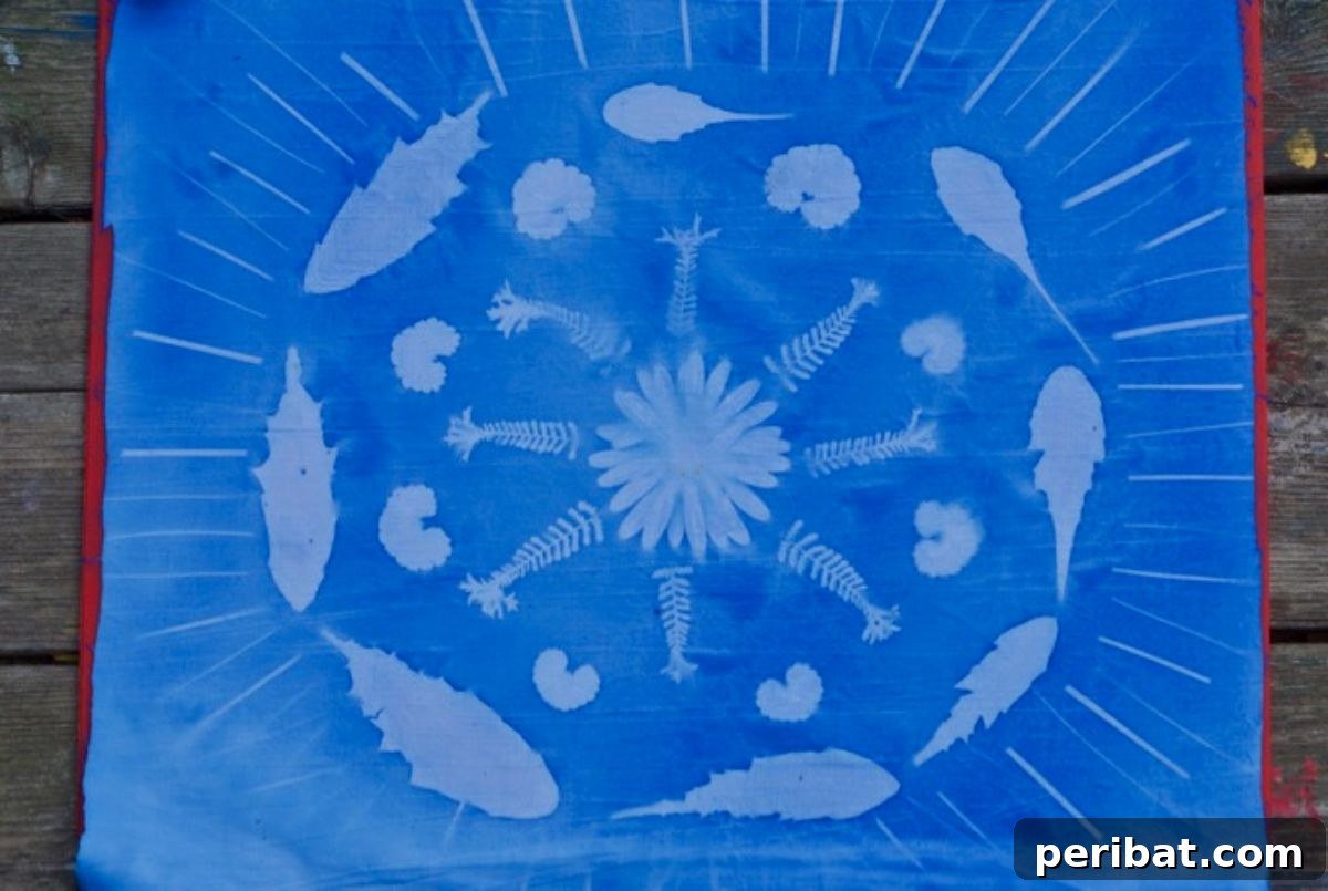 Solar Artistry: 20 DIY Printmaking Ideas 12 Sun Prints on Fabric showing a variety of botanical impressions.