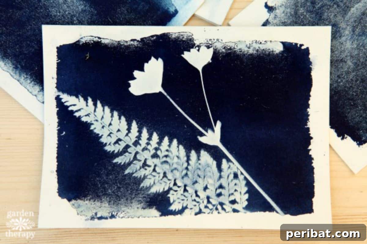 Solar Artistry: 20 DIY Printmaking Ideas 14 Cyanotype Sun Print Cards displaying intricate botanical designs.