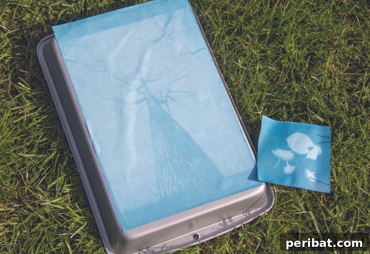 Solar Artistry: 20 DIY Printmaking Ideas 18 Sunprint in Just 30 Minutes showing a quick and easy botanical cyanotype print.