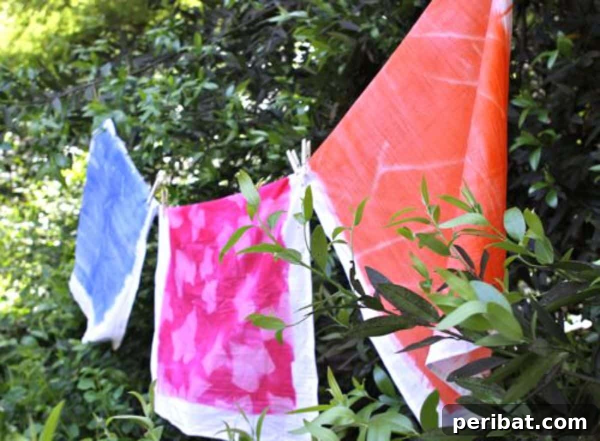 Solar Artistry: 20 DIY Printmaking Ideas 20 Sun-Dye Bandanas — Easy DIY showing brightly colored sun-dyed bandanas.