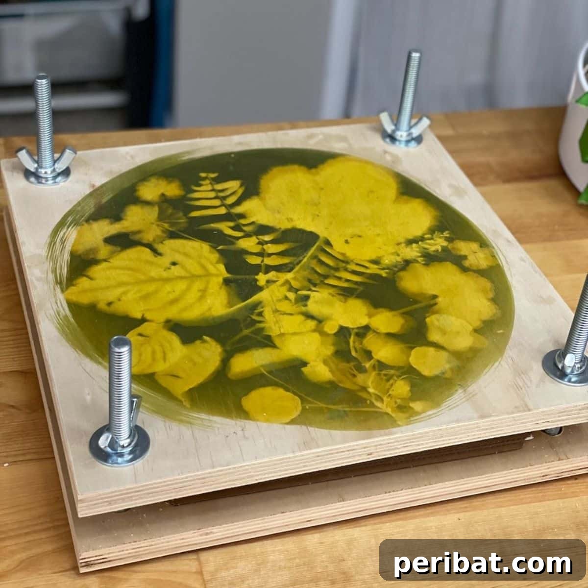 Solar Artistry: 20 DIY Printmaking Ideas 4 DIY Flower or Book Press decorated with cyanotype sun prints on wood.