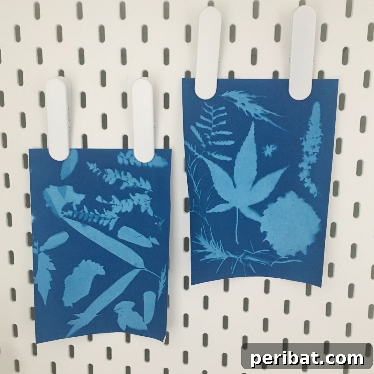 Solar Artistry: 20 DIY Printmaking Ideas 6 Nature Sun Prints showcasing delicate leaf patterns against a blue background.