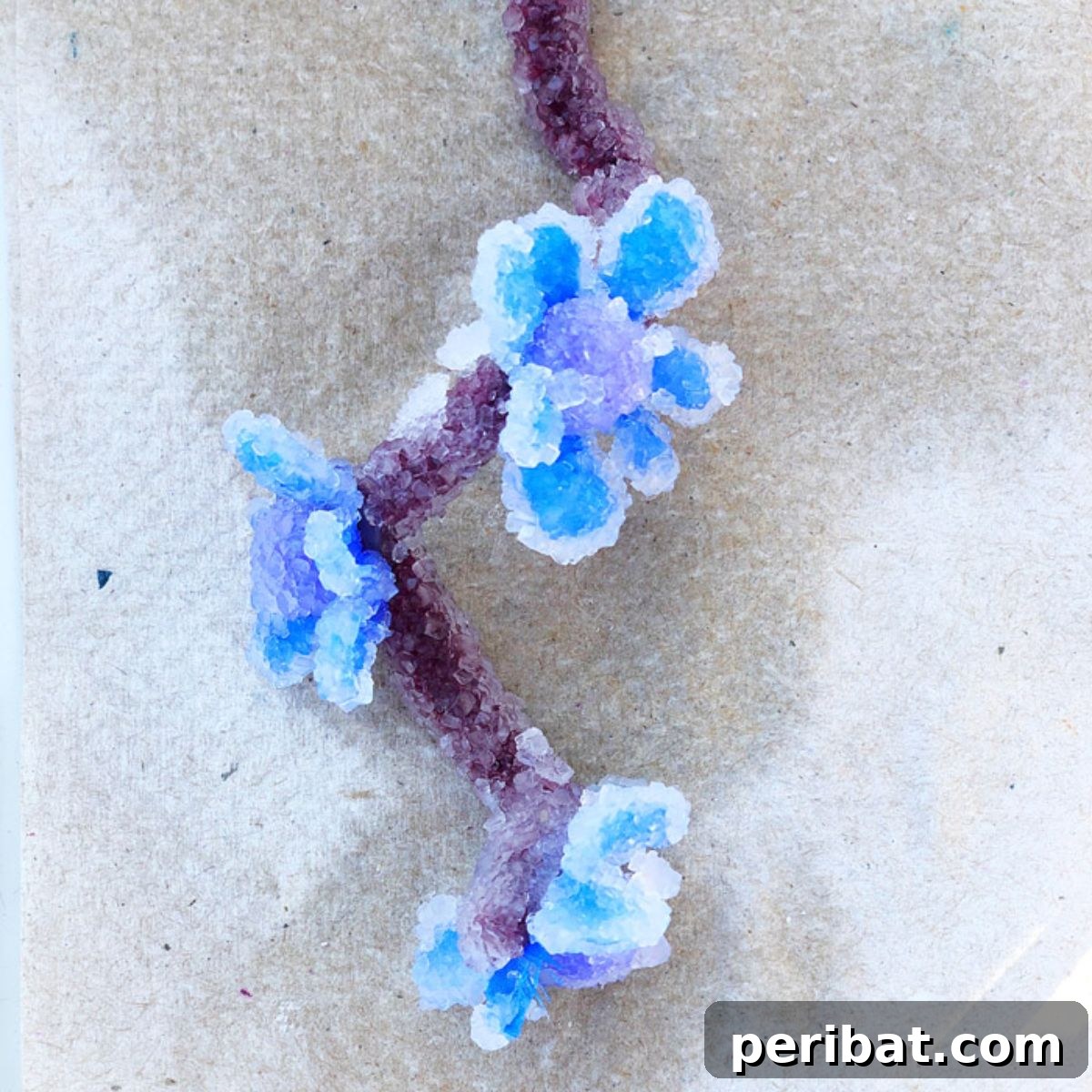 Growing Borax Crystals
