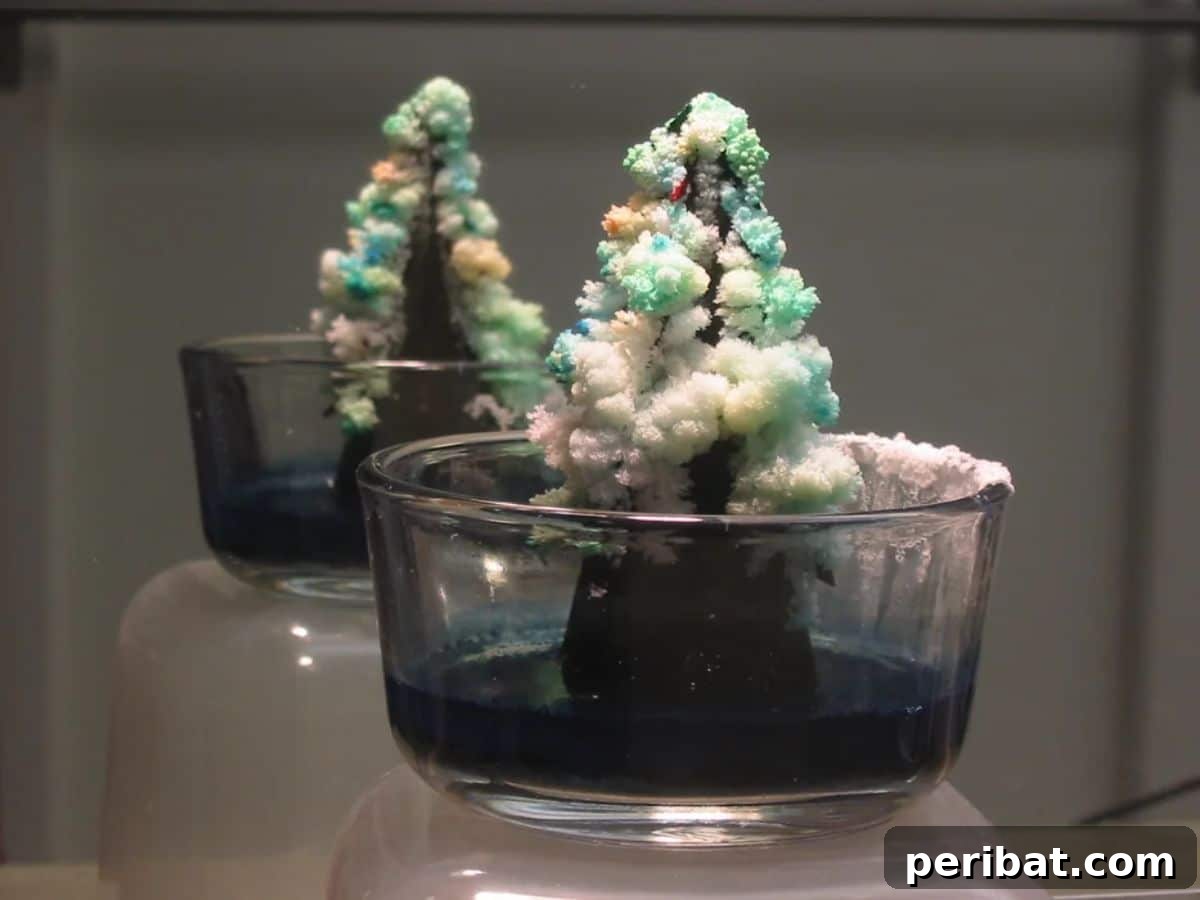 Grow Your Own Magic Crystal Tree