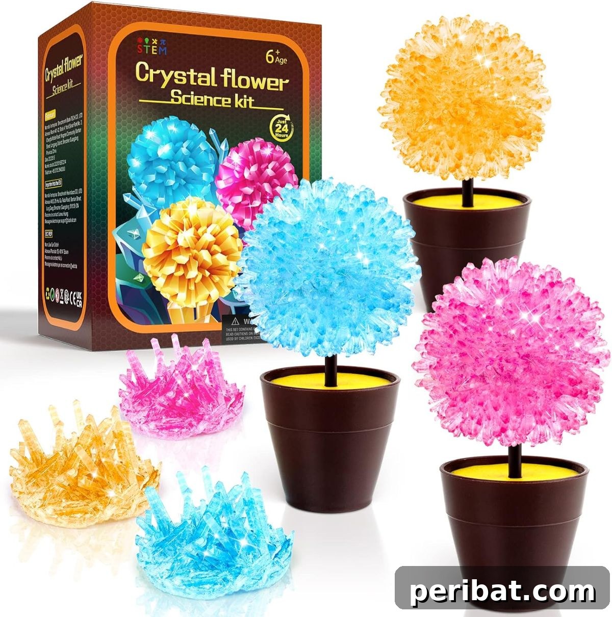 GobiDex Crystal Growing Kit