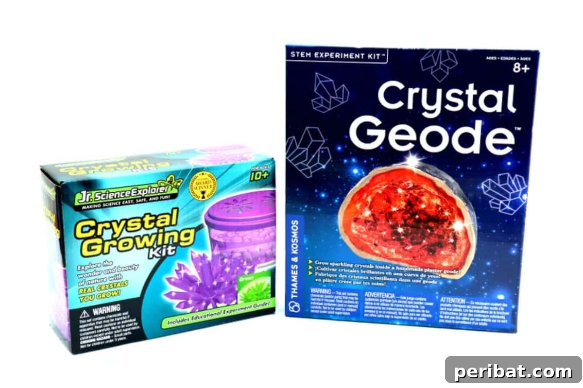 Crystal Growing & Geode Kit DIY
