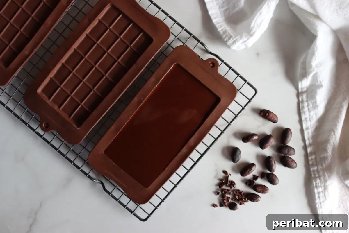25 Delicious DIY Chocolate Kit Projects 11 Raw cacao beans ready to be processed into homemade chocolate.