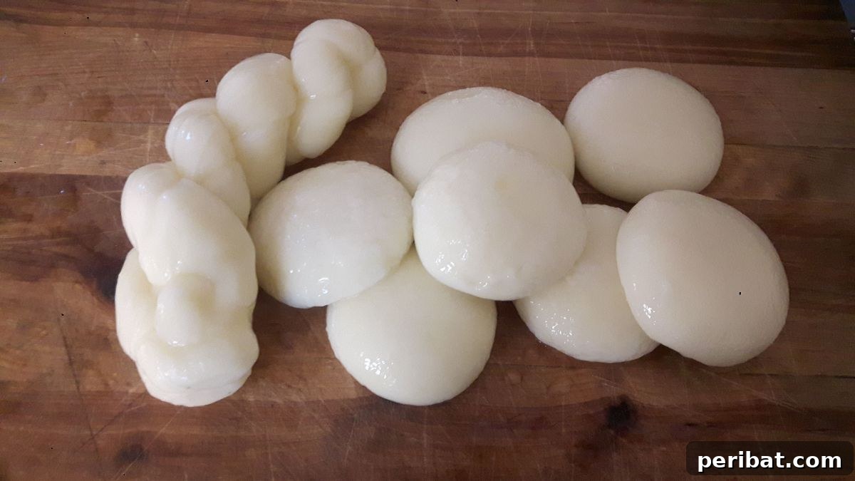 25 Brilliant DIY Cheese Making Projects 11 Cheese Making Tutorial: Mozzarella