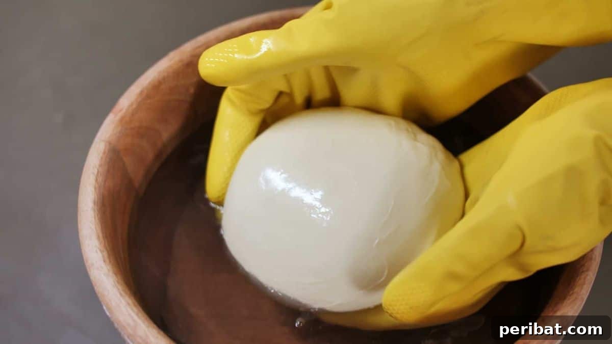 25 Brilliant DIY Cheese Making Projects 13 Traditional Style Mozzarella Cheese
