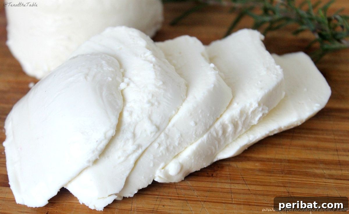 25 Brilliant DIY Cheese Making Projects 16 Homemade Mozzarella in 30 Minutes