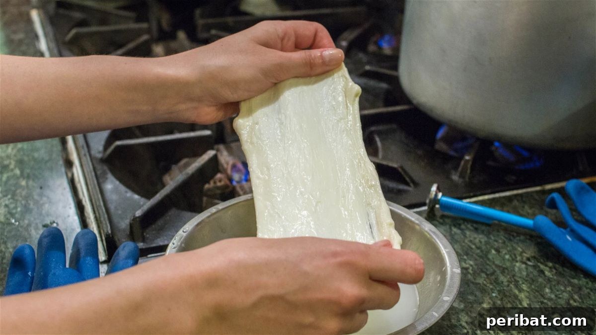 25 Brilliant DIY Cheese Making Projects 3 Homemade Mozzarella