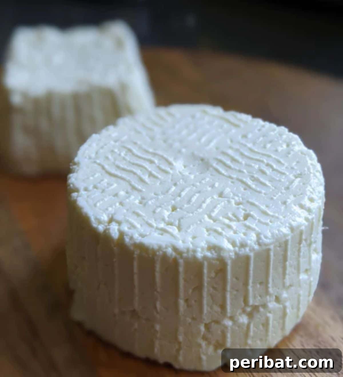 25 Brilliant DIY Cheese Making Projects 21 Cheese in an Instant Pot