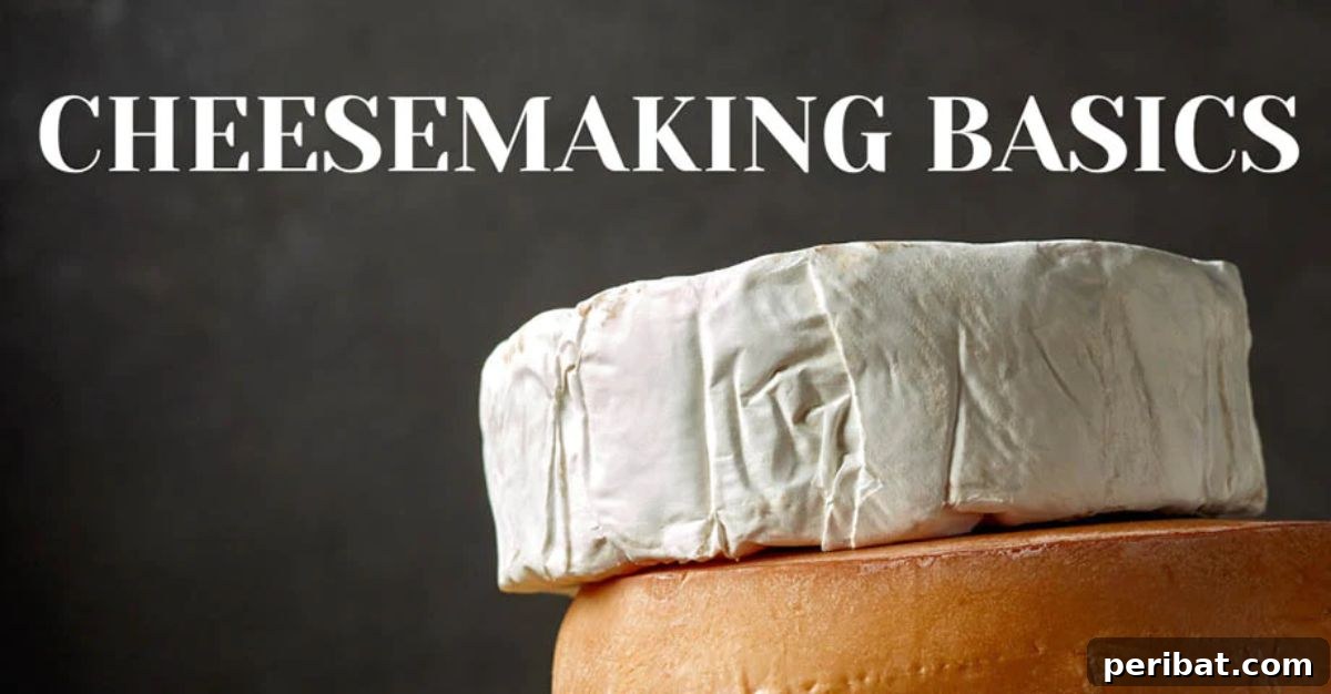 25 Brilliant DIY Cheese Making Projects 23 Homemade Cheese | Cheesemaking Basics