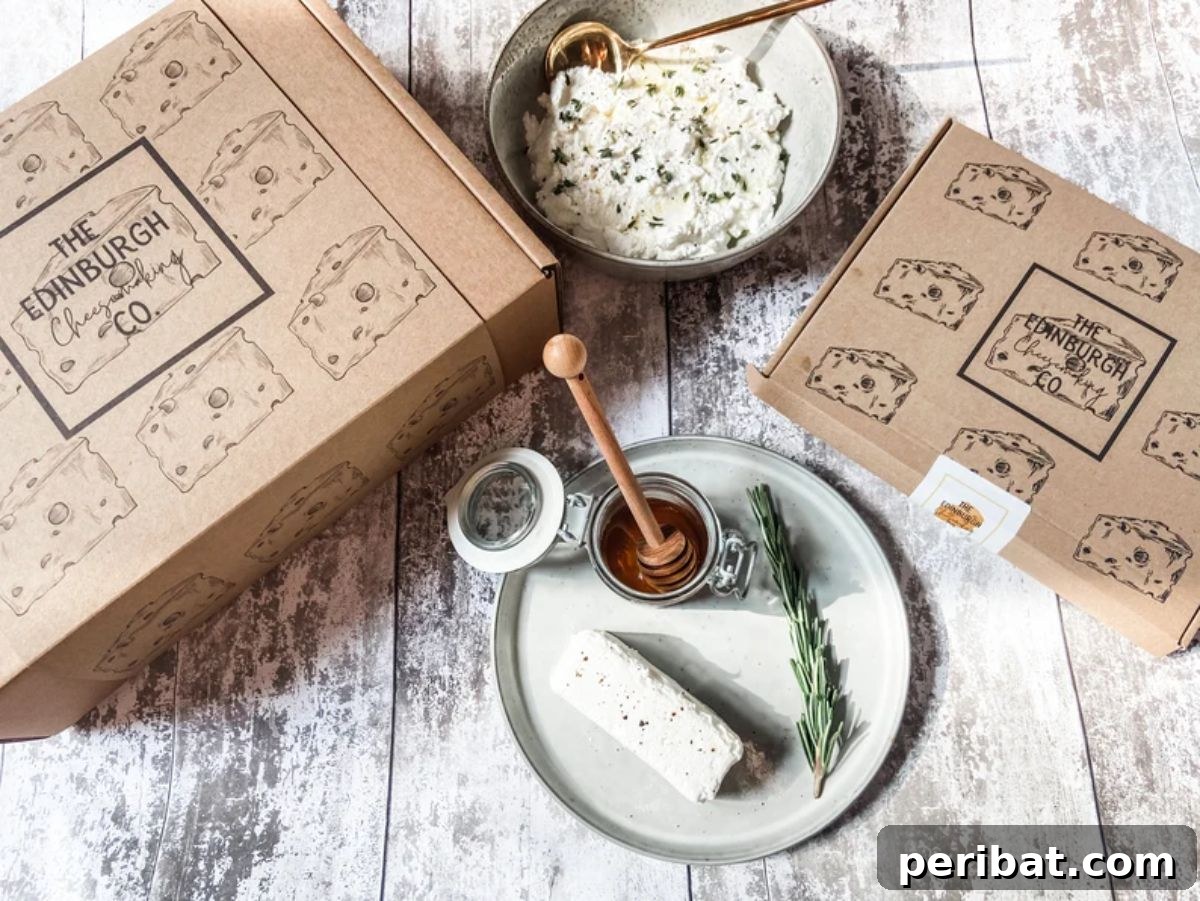 25 Brilliant DIY Cheese Making Projects 24 Cheesemaking Kit for Beginners
