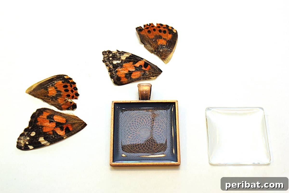 52 Inspiring DIY Necklace Ideas and Kits for Stunning Handmade Jewelry 20 container of delicate butterfly wings for necklace crafting