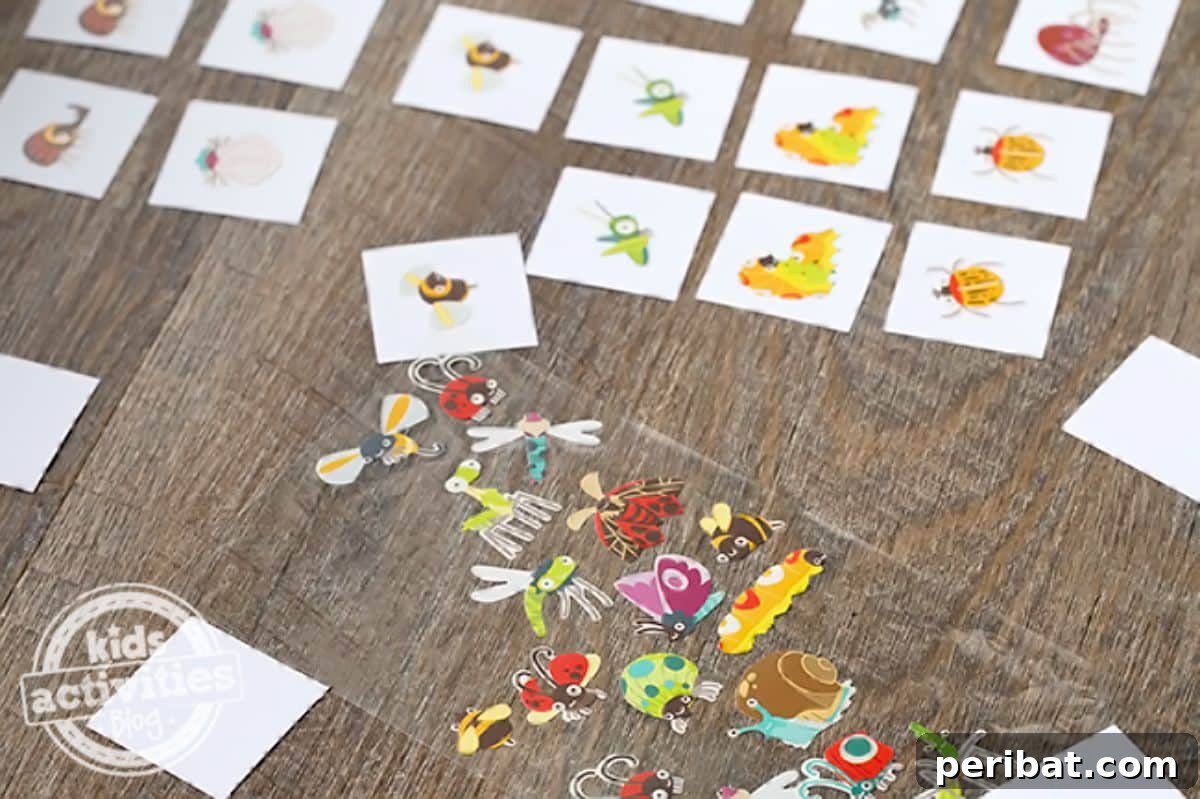 DIY Insect Memory Game
