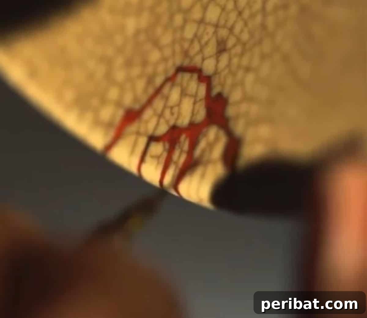 21 DIY Kintsugi Kits: Discover the Art of Golden Mending 5 Kintsugi repair kit demonstration showcasing the process of mending a broken ceramic plate with gold.