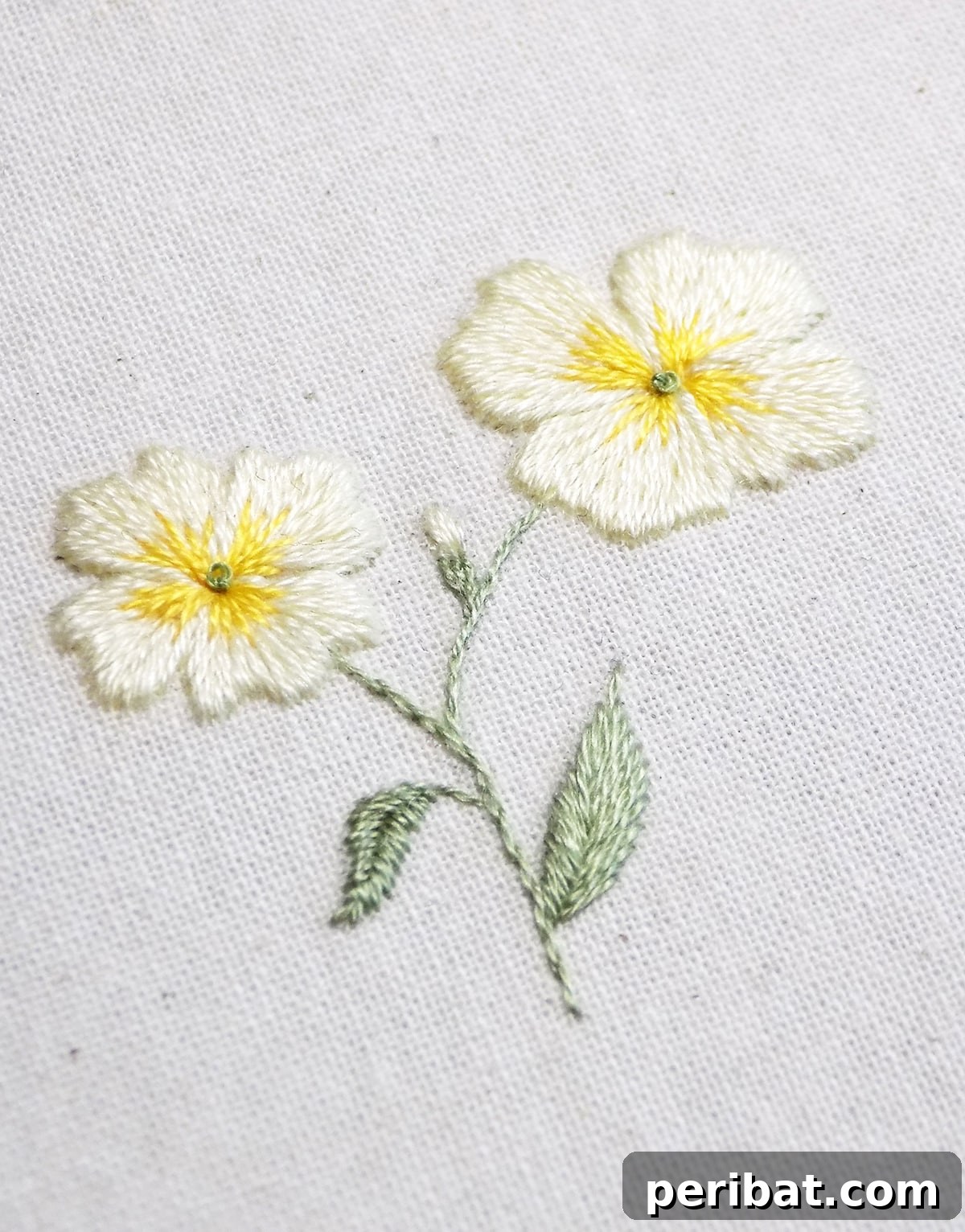 Creative DIY Floral Embroidery Ideas and Projects 23 Detailed evening primrose botanical embroidery pattern, offering a delightful stitching experience for floral enthusiasts