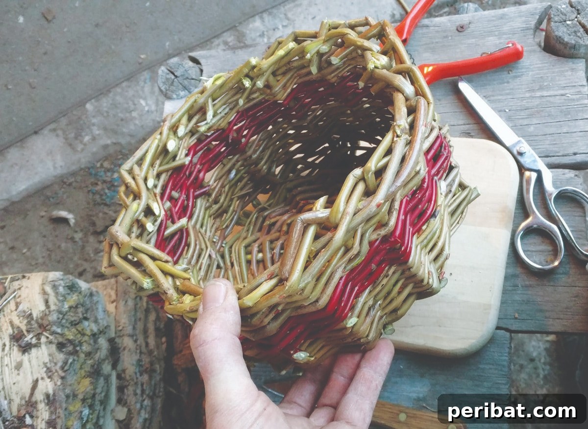 20 Creative DIY Basketry Projects & Kits 11 traditional willow basket in hand