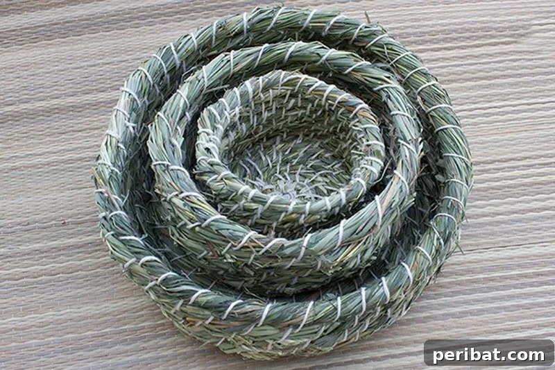 20 Creative DIY Basketry Projects & Kits 12 three grass baskets